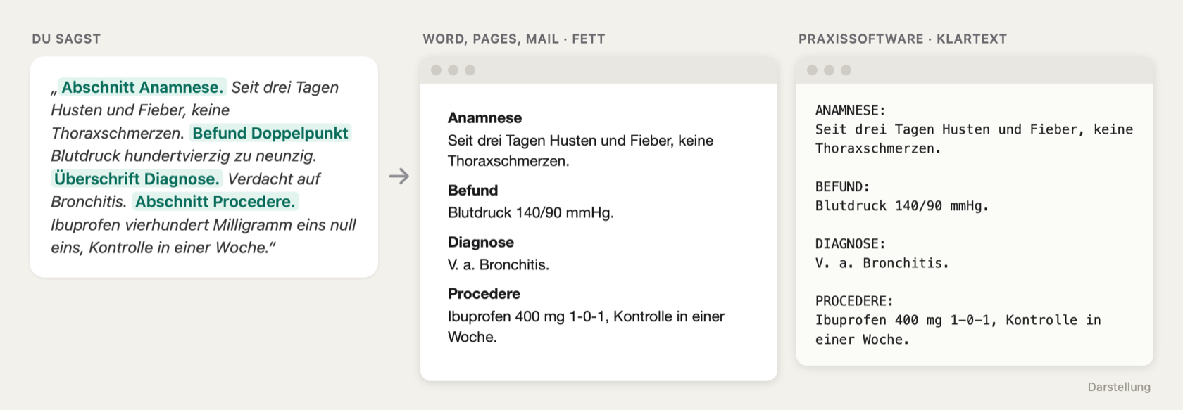 Darstellung: Ein diktierter Text mit vier Abschnitten. In Word, Pages und Mail sind die Überschriften fett, in Fachsoftware stehen sie in Großbuchstaben mit Doppelpunkt.