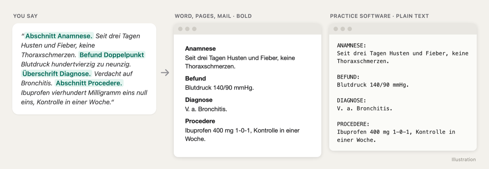 Illustration: a doctor’s letter with four sections, dictated in one go. In Word, Pages and Mail the headings are bold, in practice software they appear in capitals with a colon.